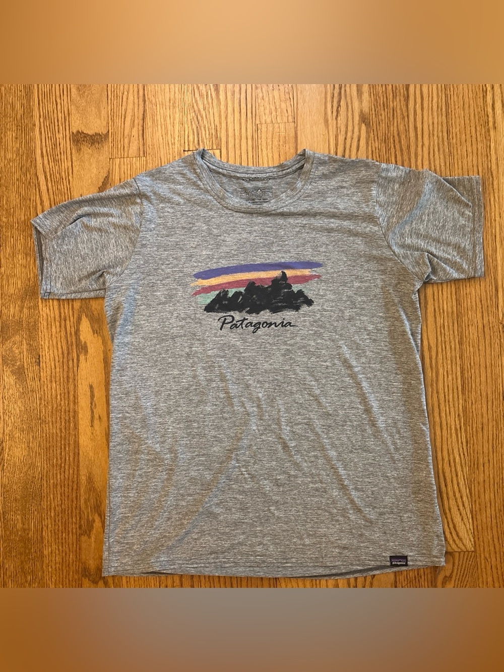 Patagonia Womens Capilene Cool Daily Graphic Shirt M Gray Heather Mountain